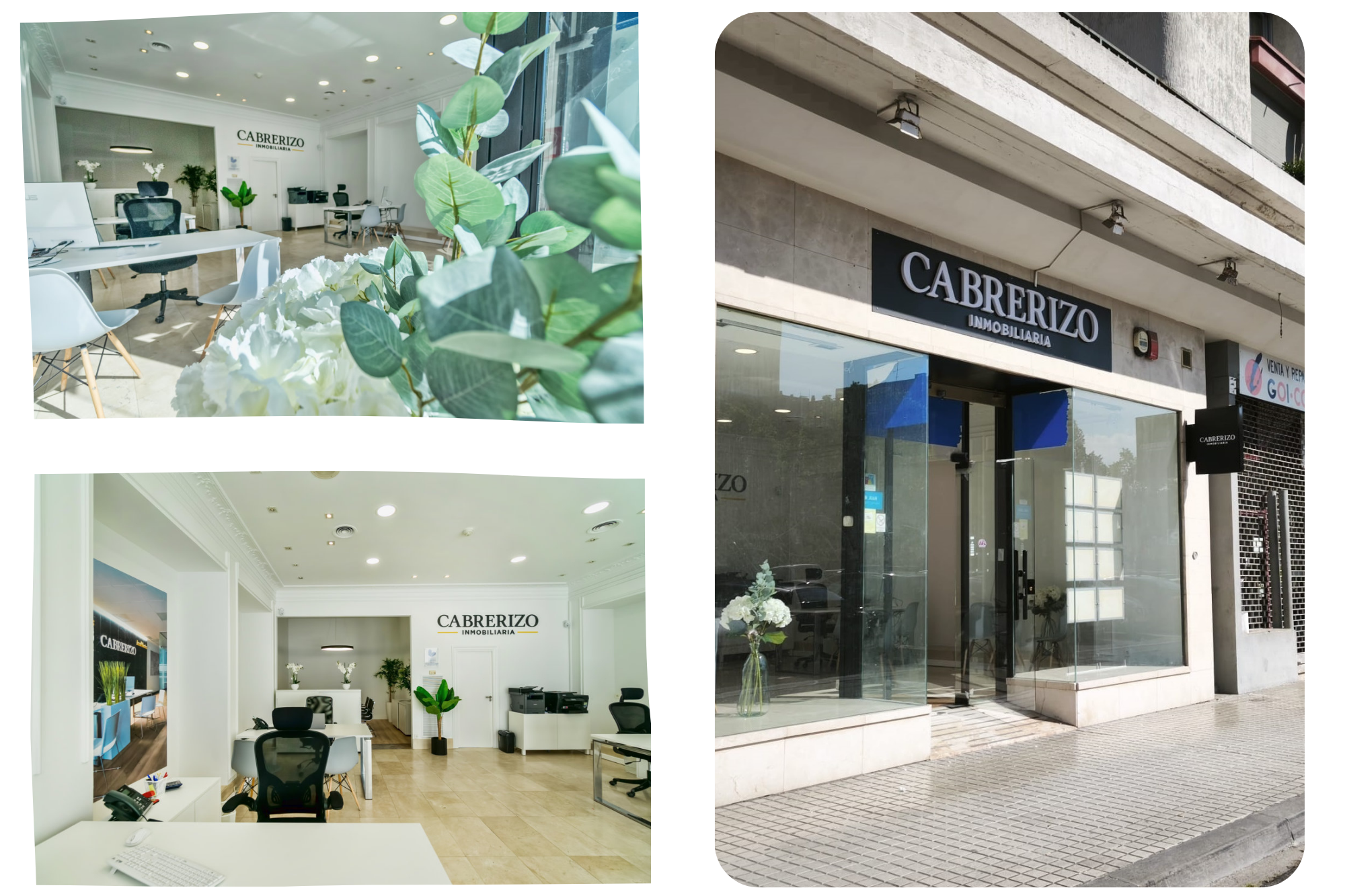 Oficina Pamplona – Nueva Apertura. SERVICIOS INMOBILIARIOS CABRERIZO en Logroño